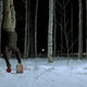 Image for article titled 16 Devastatingly Beautiful Horror Movies, And Why We Love Them